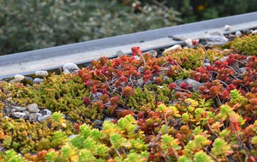 the cost of Oskaig green roof installation