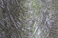 Oskaig fibreglass roof work